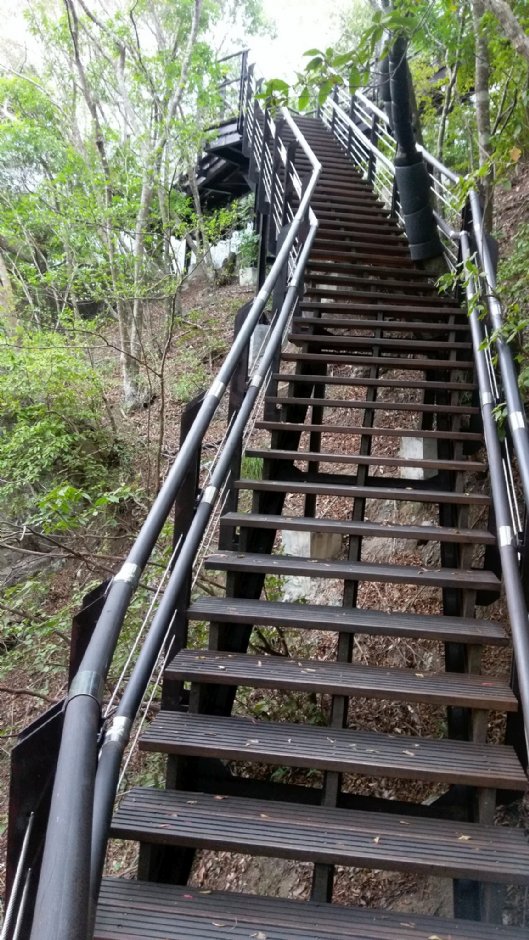 巴陵古道生態園區步道 攝影：Eva隨手拍