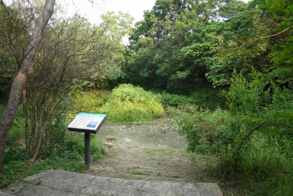 鳥松濕地公園 攝影：三井