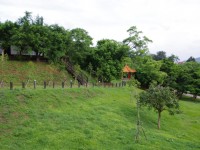 公園內步道園<br/> 攝影：Eva隨手拍