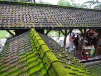 松園別館<br/> 攝影：Eva隨手拍