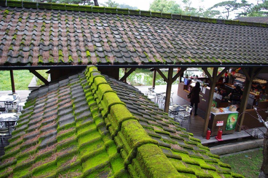 松園別館 攝影：Eva隨手拍
