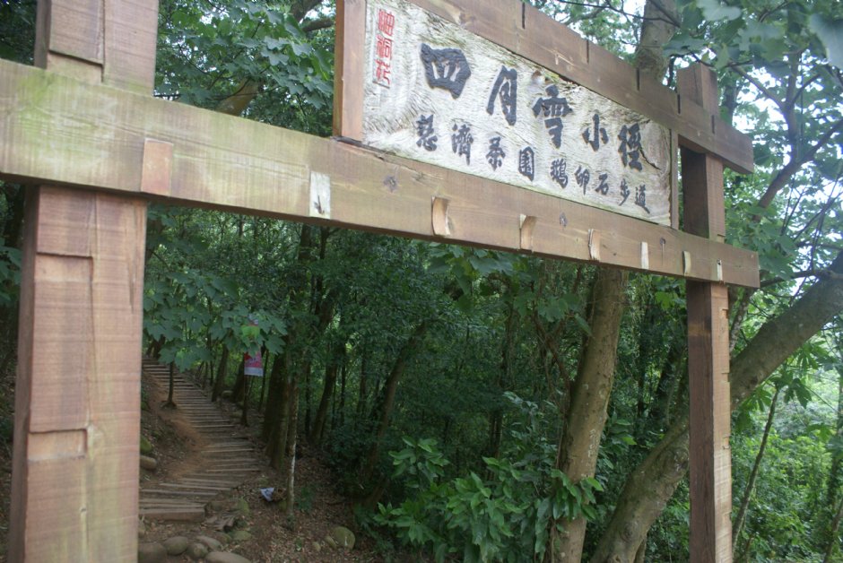 四月雪小徑 攝影：Eva隨手拍