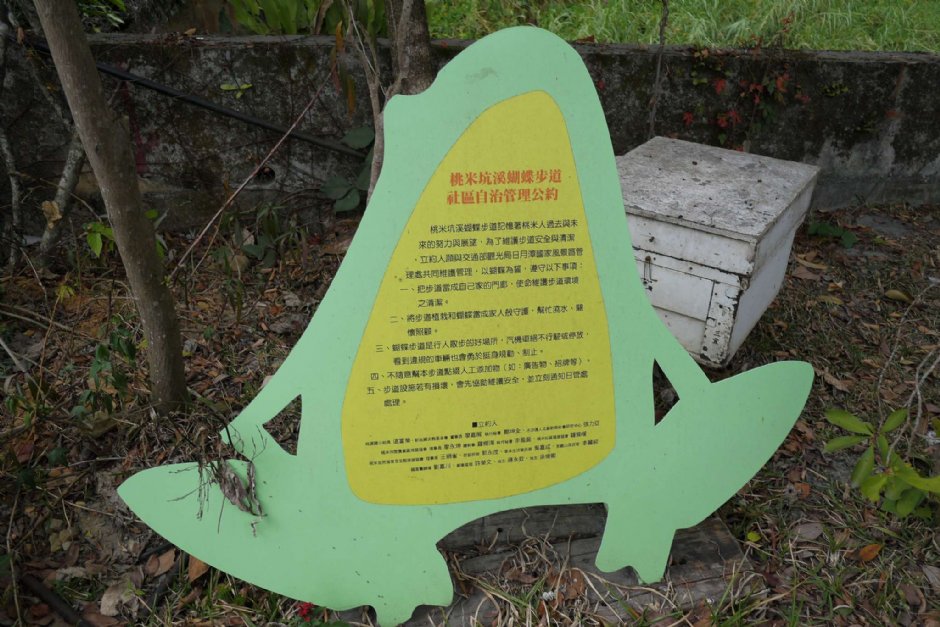 紙教堂 攝影：旅遊王攝影組