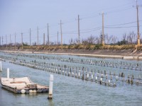 七股潟湖占地遼闊<br/> 攝影：照片來源_雲嘉南濱海國家風景區管理處
