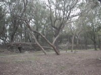 清靜公園<br/> 攝影：郭香妙