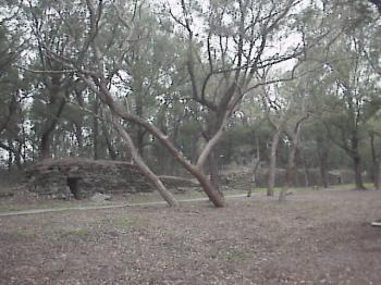 清靜公園 攝影：郭香妙