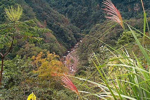 溪谷 攝影：阿華