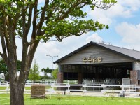 園區景色<br/> 攝影：千巧谷牛樂園牧場