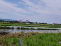 五十二甲湿地<br/> 摄影：Eva隨手拍