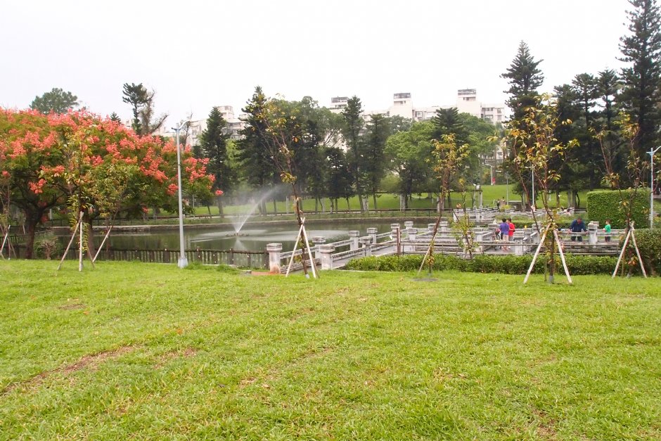 青年公園 攝影：xcatx