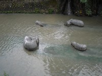 宮原眼科周邊綠川<br/> 攝影：三井