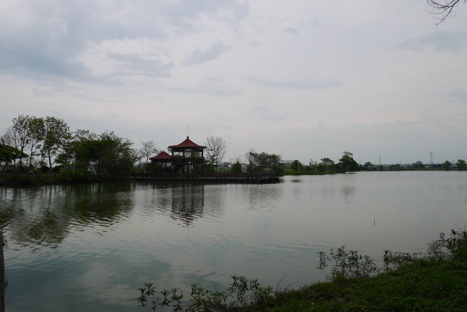 天鵝湖公園 攝影：旅遊王攝影組