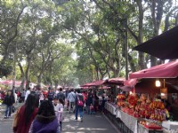 古坑綠色隧道假日市集<br/> 攝影：Lu