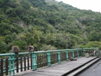 登仙橋休憩區<br/> 攝影：旅遊王攝影組