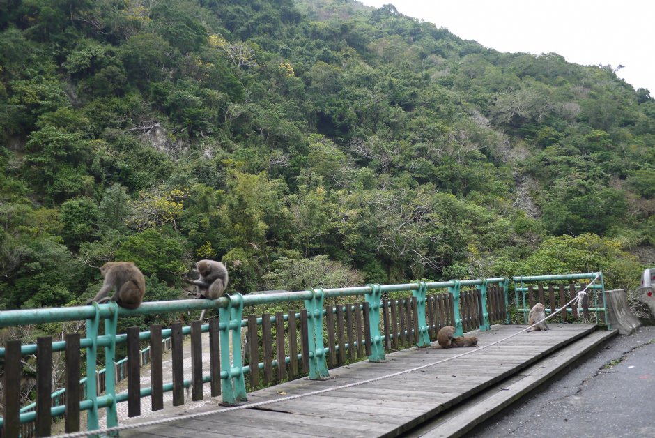 登仙橋休憩區 攝影：旅遊王攝影組
