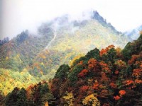 秋天的西嶺雪山<br/> 攝影：四川旅遊信息網