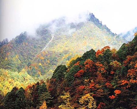 秋天的西嶺雪山 攝影：四川旅遊信息網