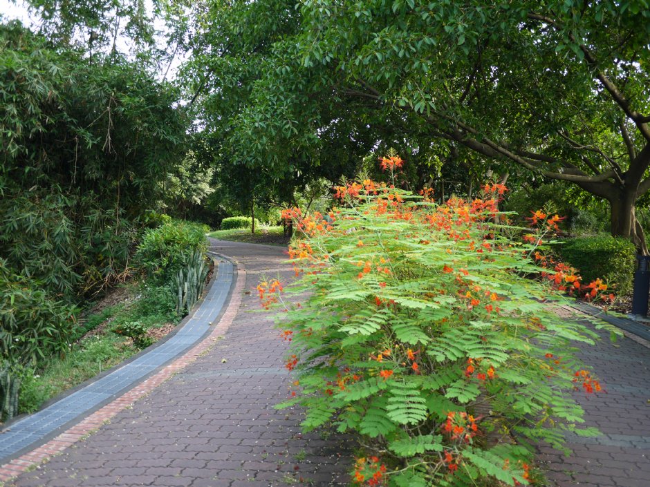 高雄都會公園 攝影：三個井