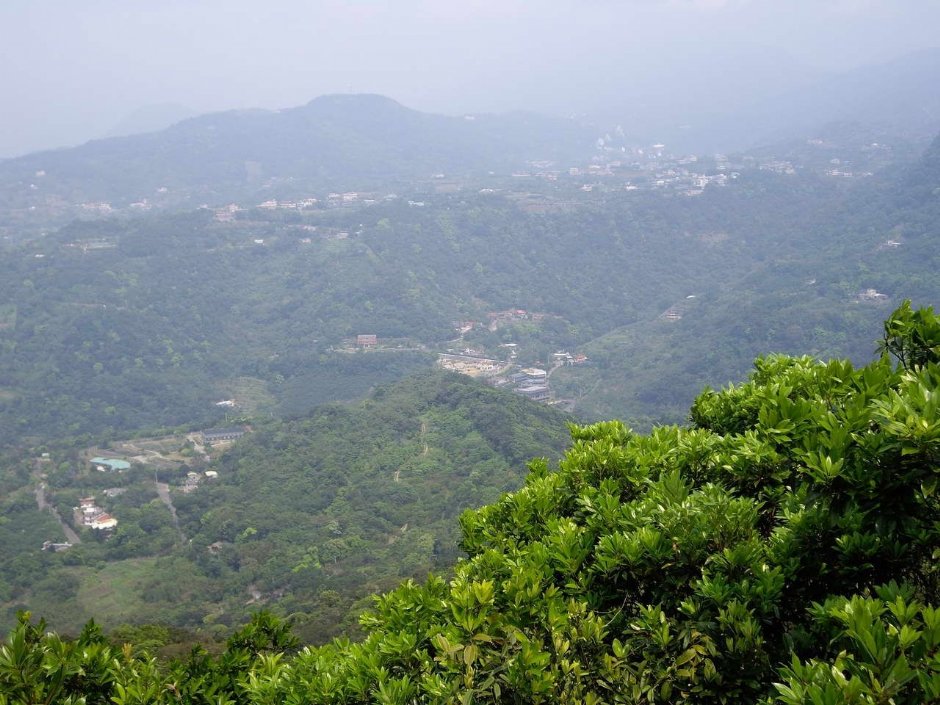 大崙頭山 攝影：老山羊資訊網