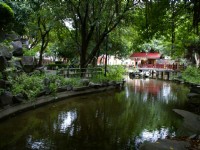 板橋農村公園<br/> 攝影：Eva隨手拍