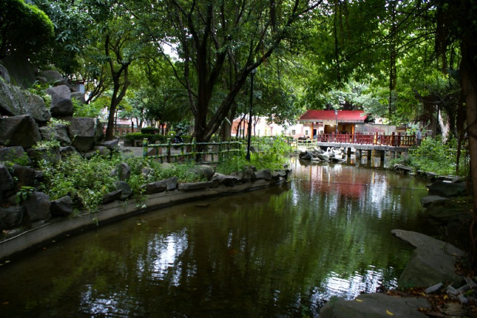 板橋農村公園 攝影：Eva隨手拍