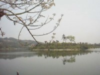 美麗大埔水庫<br/> 攝影：郭香妙