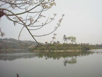 美麗大埔水庫 攝影：郭香妙