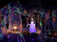 被網友譽為最美山林燈節的「龍崎光節 | 空山祭」<br/> 攝影：照片來源_台南市觀旅局