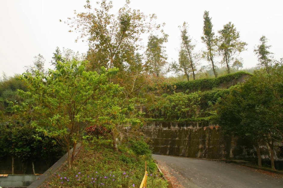 翠綠公園 攝影：老山羊部落格
