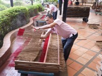 香晾舞動<br/> 攝影：旅遊王攝影組