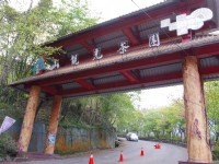 草坪頭玉山觀光茶園<br/> 攝影：Eva隨手拍