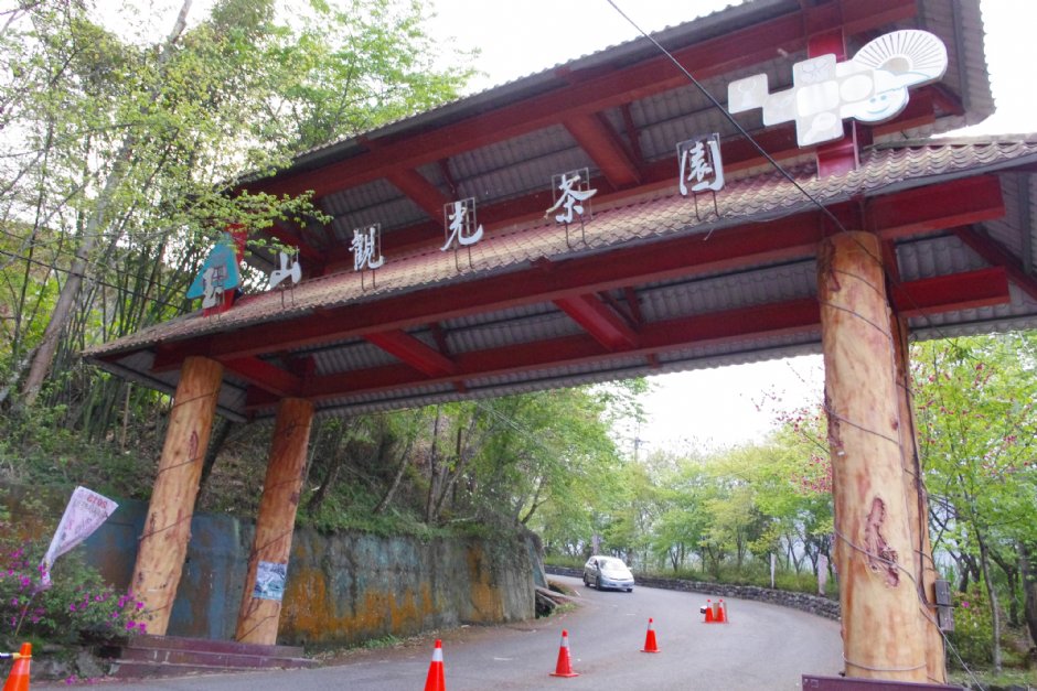 草坪頭玉山觀光茶園 攝影：Eva隨手拍