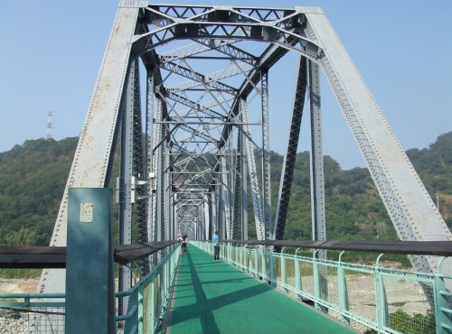 台中賞桐單車漫遊