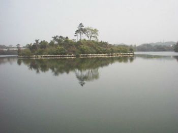 水庫中小島 攝影：郭香妙