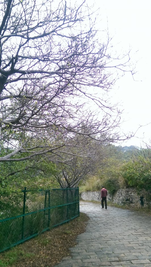 龍鳳谷與硫磺谷遊憩區 攝影：Eva隨手拍