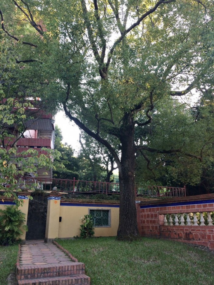 霧峰林家花園(萊園) 攝影：Eva隨手拍