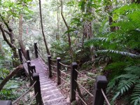 賞瀑步道<br/> 攝影：Lu