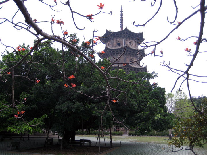 泉州開元寺 攝影：林錦萍