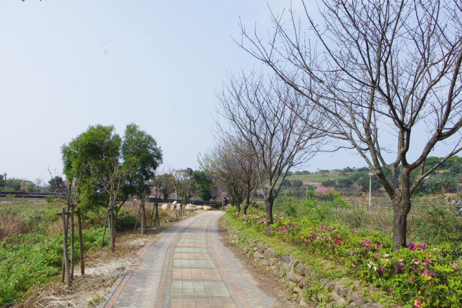 大坑溪三生步道 攝影：Eva隨手拍