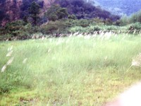 曲冰遺址一景<br/> 攝影：南投縣政府