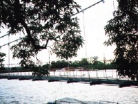 虎頭埤水庫吊橋<br/> 攝影：王世傳