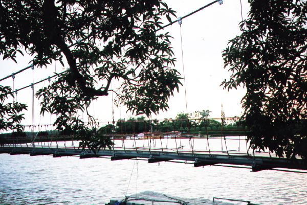 虎頭埤水庫吊橋 攝影：王世傳