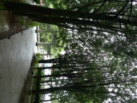 霧社事件紀念公園<br/> 攝影：Eva隨手拍