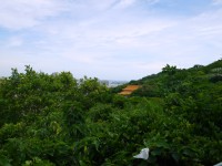 壽山國家自然公園<br/> 攝影：三井