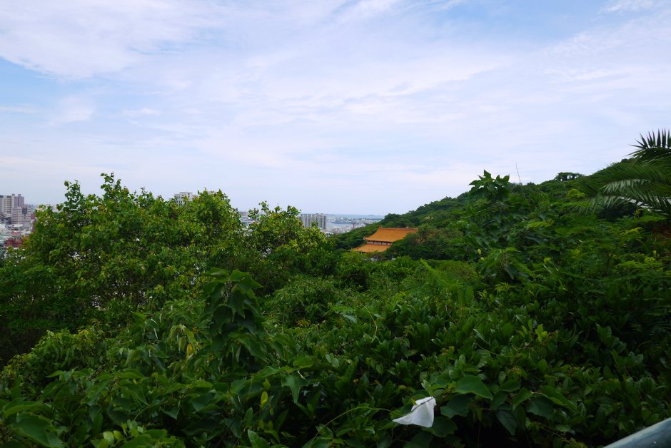 壽山國家自然公園 攝影：三井
