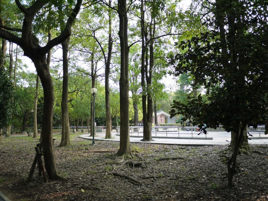 高雄都會公園 攝影：三個井