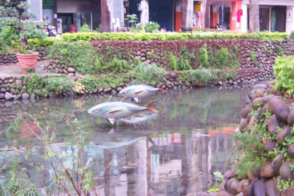 魚的造景 攝影：林夢真