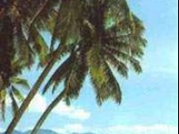 芙蓉嶂<br/> 攝影：四川旅遊信息網