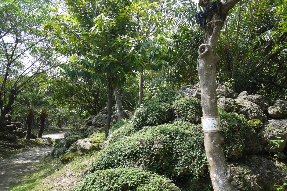 原生植物園 攝影：三井