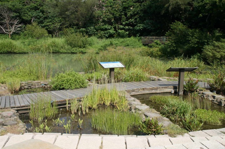 池塘生態區 攝影：老山羊部落格